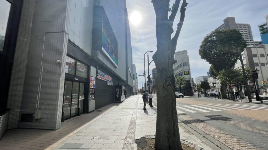 ヨドバシカメラを左手に直進する