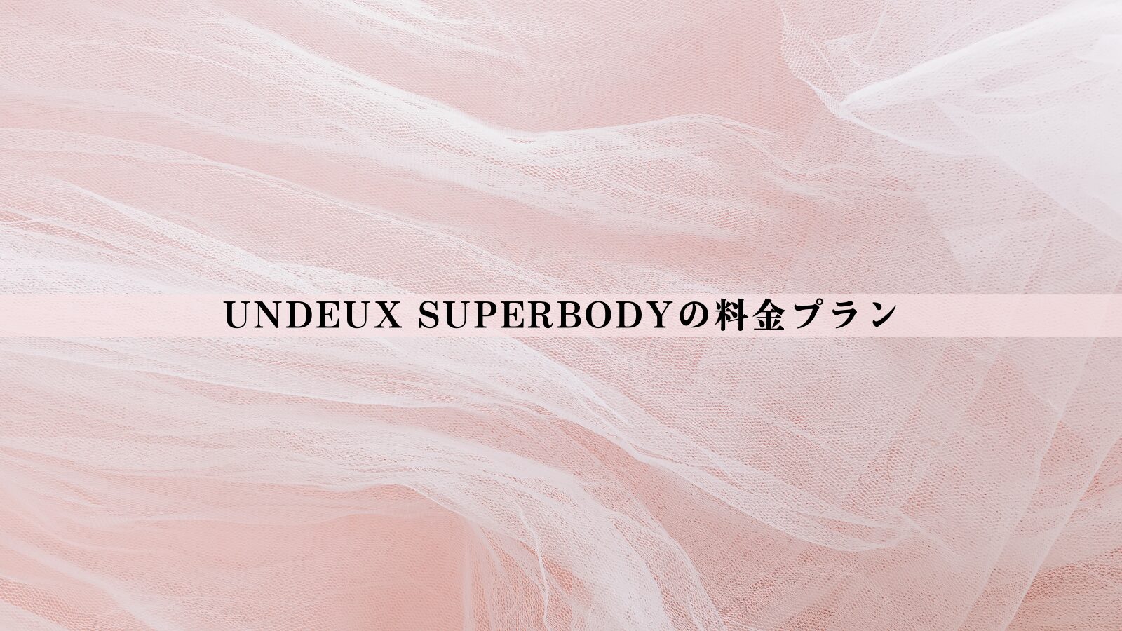 【最新版】UNDEUX SUPERBODY（アンドゥスーパーボディ）の料金は高い？総額・相場比較・後悔しない判断軸を整理